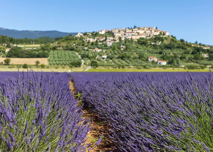 Hotel Relais Et Chateaux La Bonne étape Chateau-Arnoux-Saint-Auban