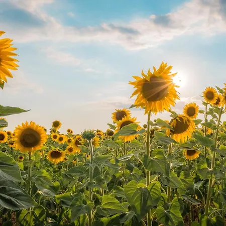 Relais Et Chateaux La Bonne Etape 4*
