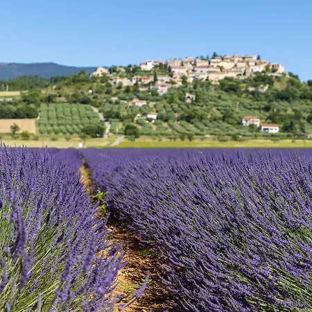 Hotel Relais Et Chateaux La Bonne Etape Chateau-Arnoux-Saint-Auban