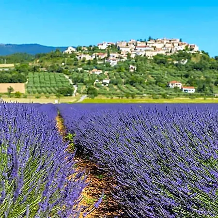 Relais Et Chateaux La Bonne Etape Chateau-Arnoux-Saint-Auban